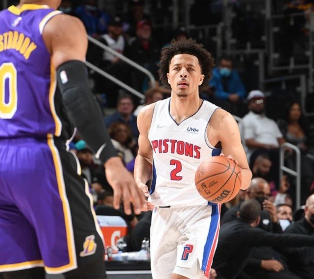 本拥有较高 本拥有较高